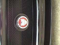 Mesh Grille Options-image.jpg