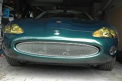 Mesh Grille Options-dsc_6972.jpg