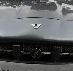 Just in time - methinks !-front-badge-001.jpg