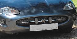 Just in time - methinks !-front-grille.jpg