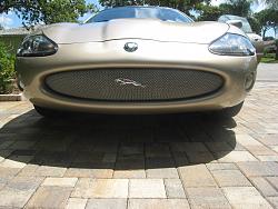 A Couple New Modifications-leaper.jpg