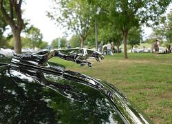 British Car Show Texas-tabcd-leaper.jpg