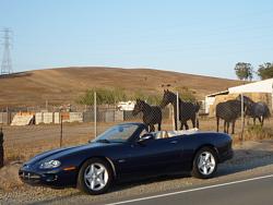 Where did you drive in your XK8/R today?-p1030488.jpg