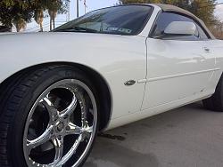 Center caps logo on after market wheels-front-side.jpg
