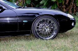 Coventry Whitleys-side-xk8-2.jpg