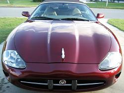 Wow us with your XK8/R photos-1457659_10153560542230646_418555011_n.jpg