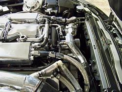 Why wrap when you can dip?-019.jpg