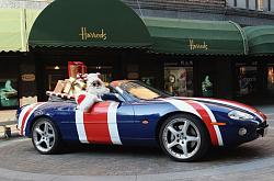 Happy Holidays!-xk-santa.jpg