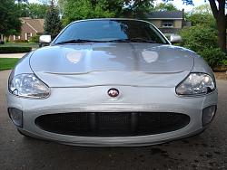Bonnet Bra-dsc05168.jpg