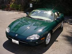  Racing Stripes-8324757203.250478979.im1.08.565x421_a.562x421.jpg