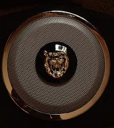 Door speaker covers.-image.jpg