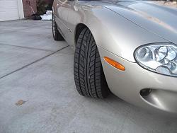 2000 XK8 with 18x9 double five wheels on all four paws(sorry, feline humor).-dscf7490.jpg
