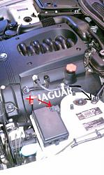 passengers door open-jumper-point.jpg