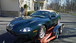 It followed me home. Can I keep it?-jag1.jpg