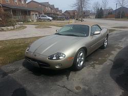 Spring at last !-jag-2014.jpg