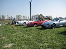 Pics of British Car Gathering at Shelton Vineyard-bg-xk81.jpg