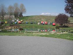 Pics of British Car Gathering at Shelton Vineyard-bgsptfre.jpg