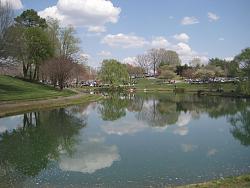 Pics of British Car Gathering at Shelton Vineyard-brlake.jpg