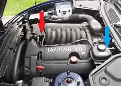 can one of you good sirs help me out 02 XK8-xk8-engine.jpg