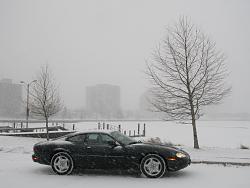 First Winter-img_1610.jpg