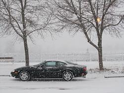 First Winter-img_1614.jpg