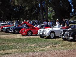Queen's English Car Show-lineofxkold.jpg