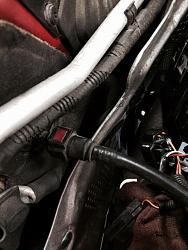 Help to Identify Hose-image.jpg