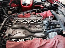 An XK8 Project (1999MY)-1622157_10152434495260140_8309666421436383879_n.jpg