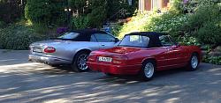 Nice behinds!-two_verts.jpg