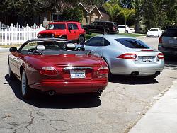Nice behinds!-dscf1190-1280x960-.jpg