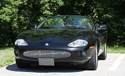 Front License Plate-blk-cat-132-sale.jpg