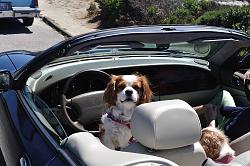 *** FREE XK8/XKR RealGauge Prize Draw ***WINNER ANNOUNCED-xk8__017.jpg