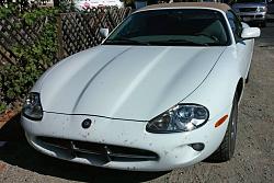 Wow us with your XK8/R photos-10620513_10204028155971798_2763761000503053445_n.jpg