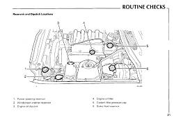Engine compartment ID-xk8-routine-checks.jpg