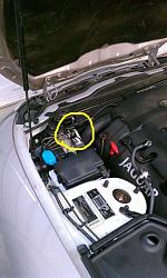 Transmission Fluid Change / Fill from top / squeal bark sound-transmission-cooler-hose-1.jpg