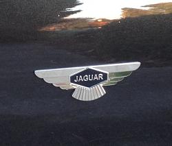Jaguar Wings Car Badge-image.jpg