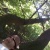 Triz's Avatar