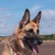 Gazza125418's Avatar