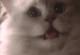 n00n3r's Avatar