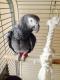 Appleeater's Avatar