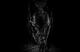 edat377's Avatar