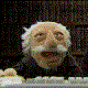 Steven Williams's Avatar
