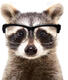 AOK's Avatar