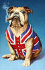 MCTheDog's Avatar