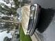 1987JaguarXJ6's Avatar