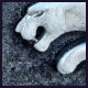 liudas's Avatar