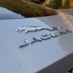 Cat Daddy: Fostering a 2016 Jaguar F-TYPE R AWD for a Week