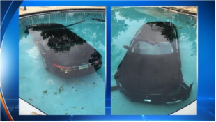 Floridian Plunges 2016 Jaguar XF Into Swimming Pool