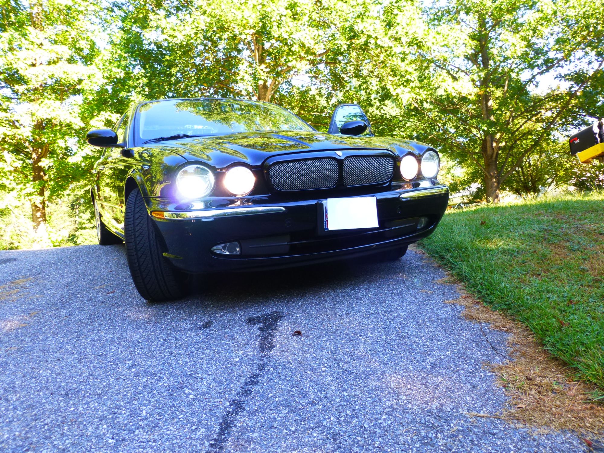jaguar XJR