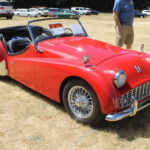 Pictures From the 2017 Western Washington All British Field Meet